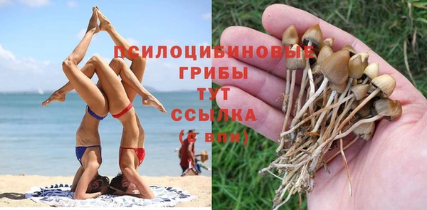 мяу мяу мука Абинск