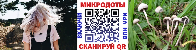 OMG ONION  Покачи  Галлюциногенные грибы Cubensis 